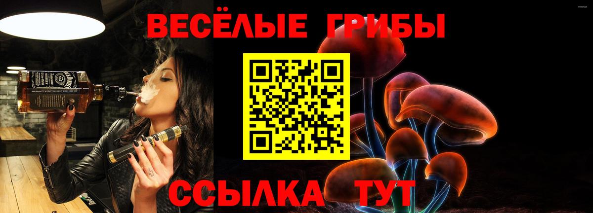 Галлюциногенные грибы Magic Shrooms  Вход с VPN  наркошоп  Галлюциногенные грибы мицелий  Воронеж 